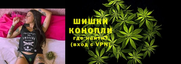 ГАЛЛЮЦИНОГЕННЫЕ ГРИБЫ Богданович